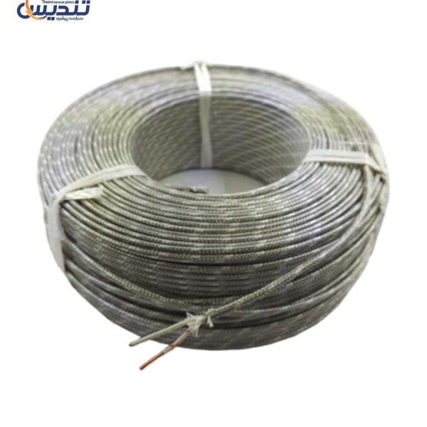 سیم دو در یک تایپ S